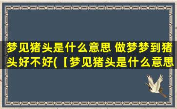 梦见猪头是什么意思 做梦梦到猪头好不好(【梦见猪头是什么意思】做梦猪头代表什么？梦见猪头吉不吉祥？)